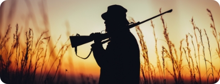 Wildman - Wildman Payment Plan