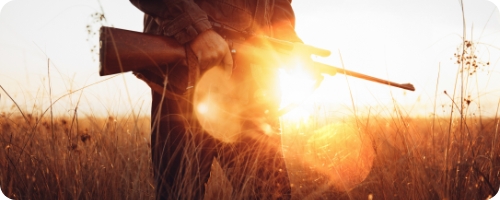 Wildman - Firearm Licence